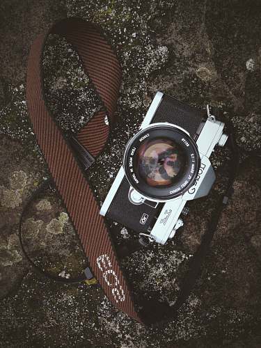 vintage camera black and gray Canon camera canon